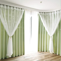 Curtains (Double Layer) Window